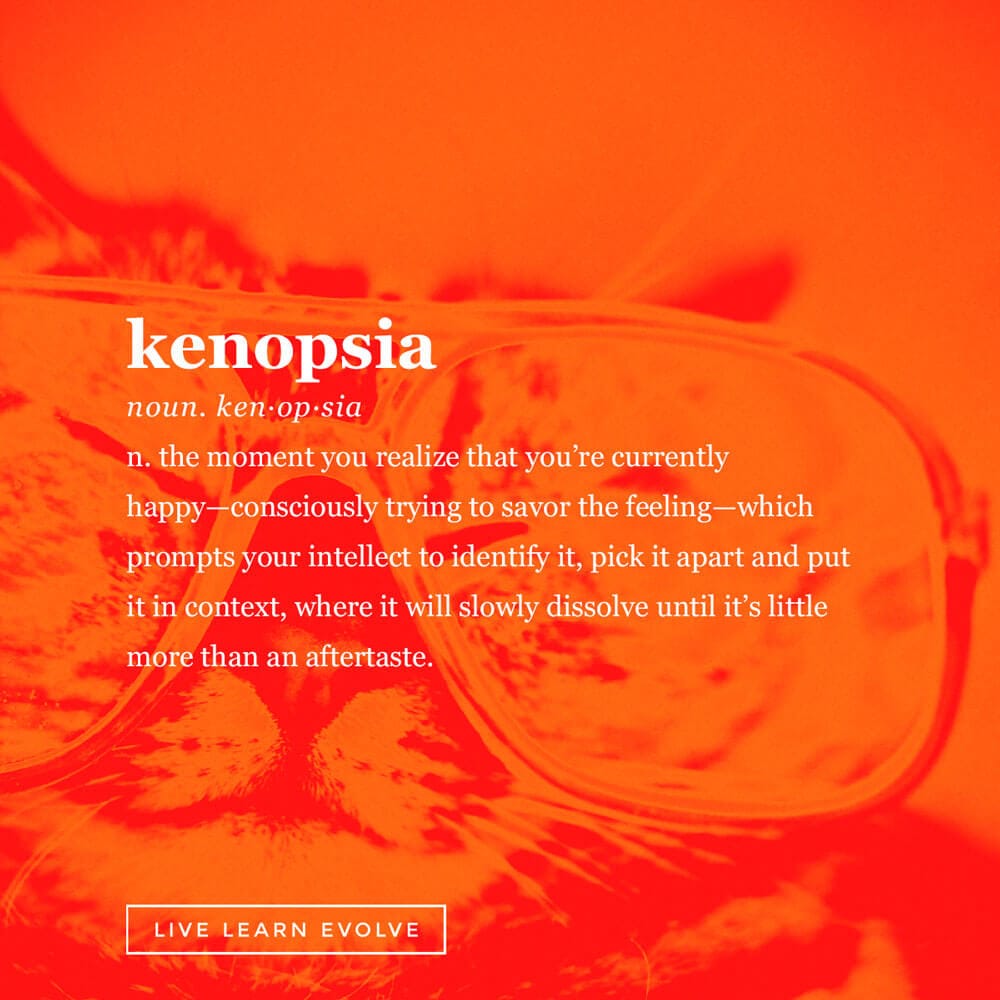 kenopsia-obscure-dictionary