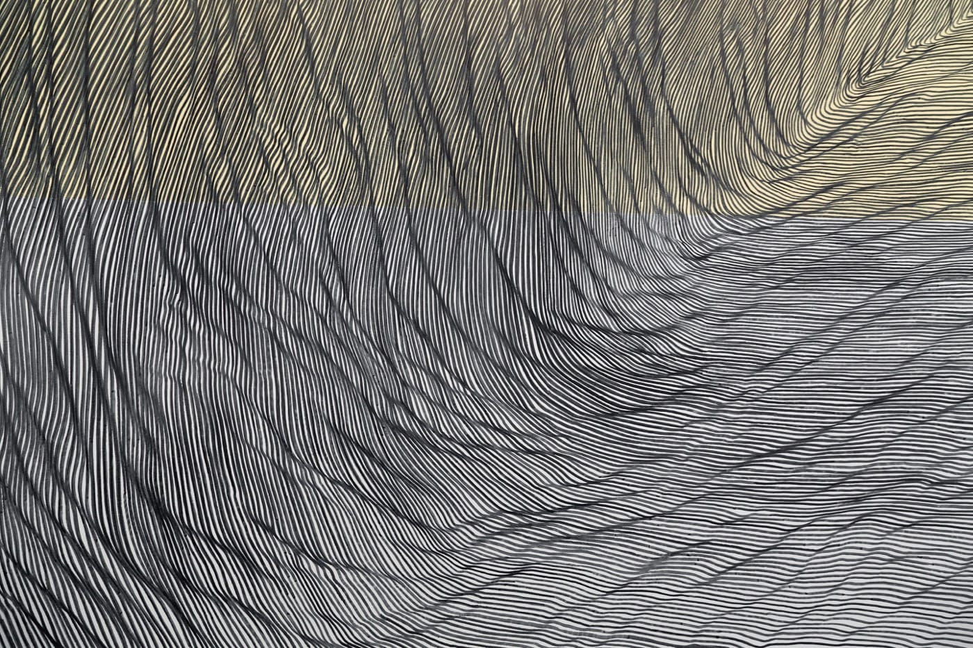 Linn Meyers "Our View from Here" (detail) (2016)