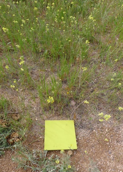 Maider Lopez, yelow tile from "Zoom In" (2016) (click to enlarge)