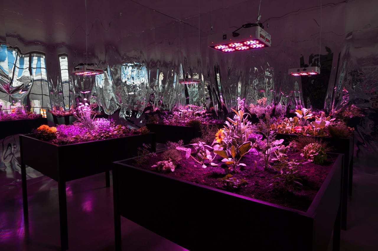 Meg Webster, “Solar Grow Room” (2016) 4 raised planters with vegetation, off grid solar powered electrical system, grow lights, mylar covered walls. (All photos of Webster's work ©Meg Webster, courtesy of Paula Cooper Gallery, New York, photo by Steven Probert)