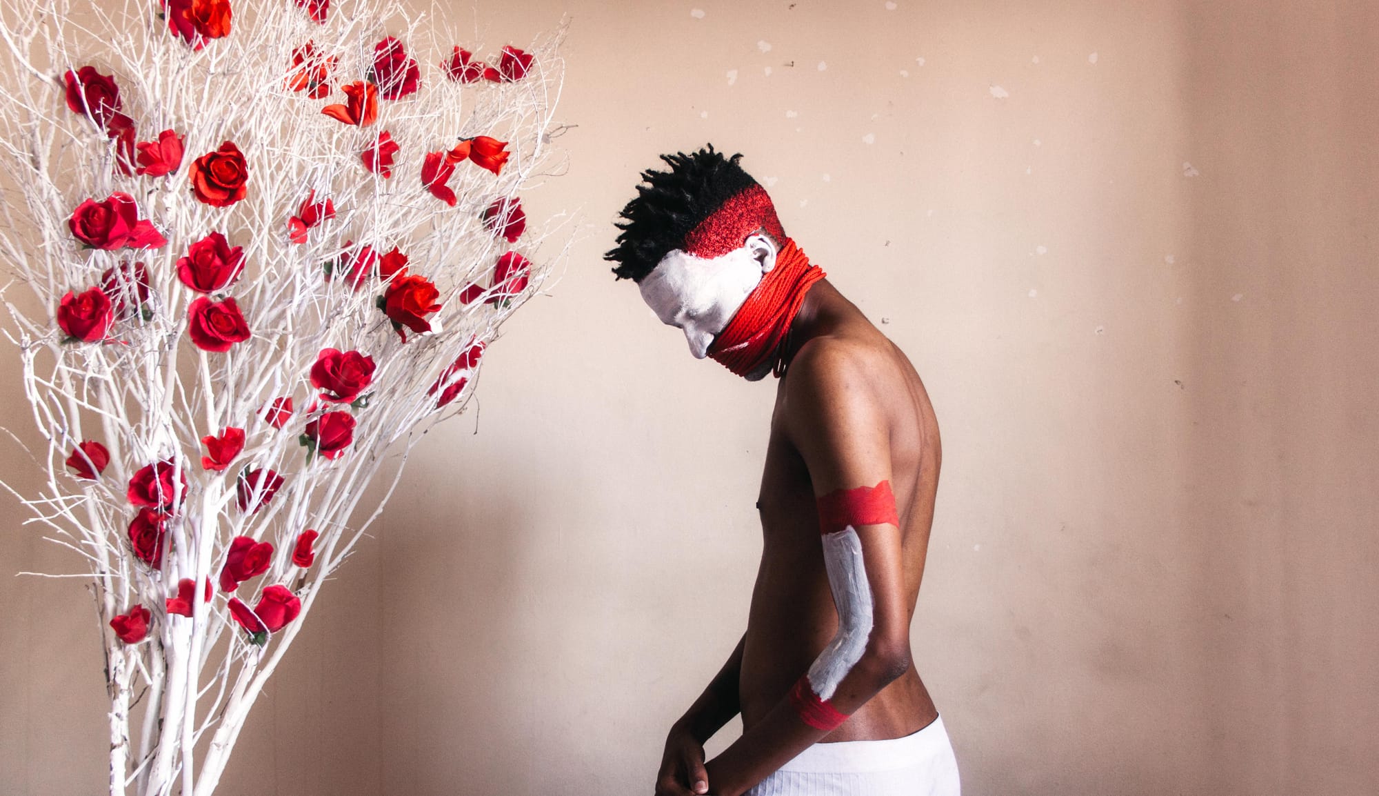 Tsoku Maela, "Plastic Roses"