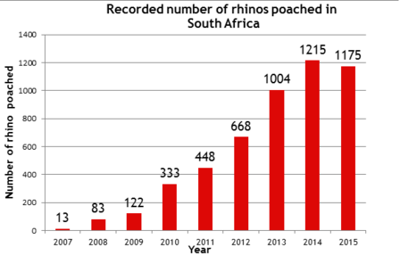 Rhino poaching in South Africa, 2007-2015. (source)