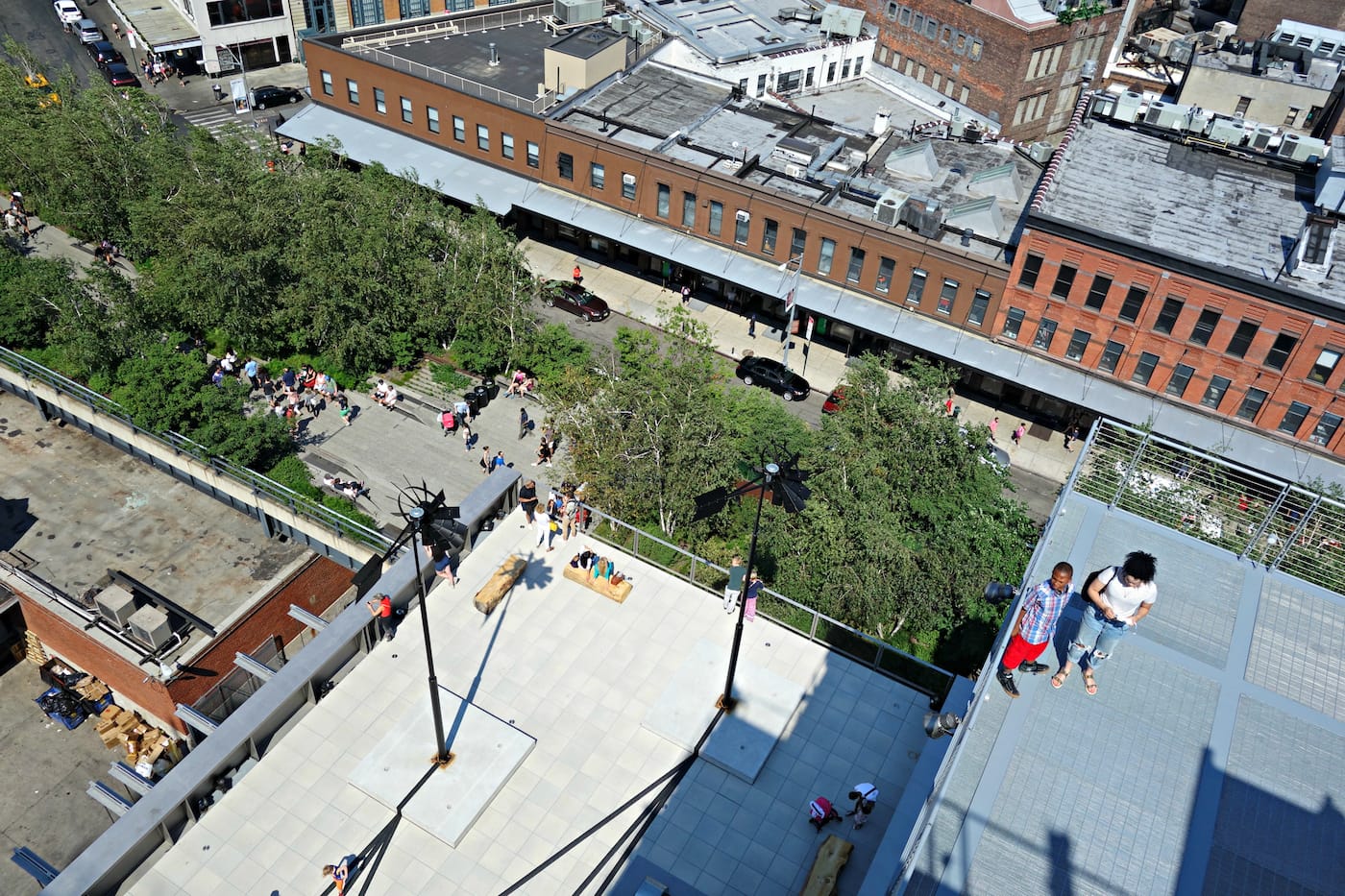 Installation view of 'Virginia Overton: Sculpture Gardens' at the Whitney Museum of American Art