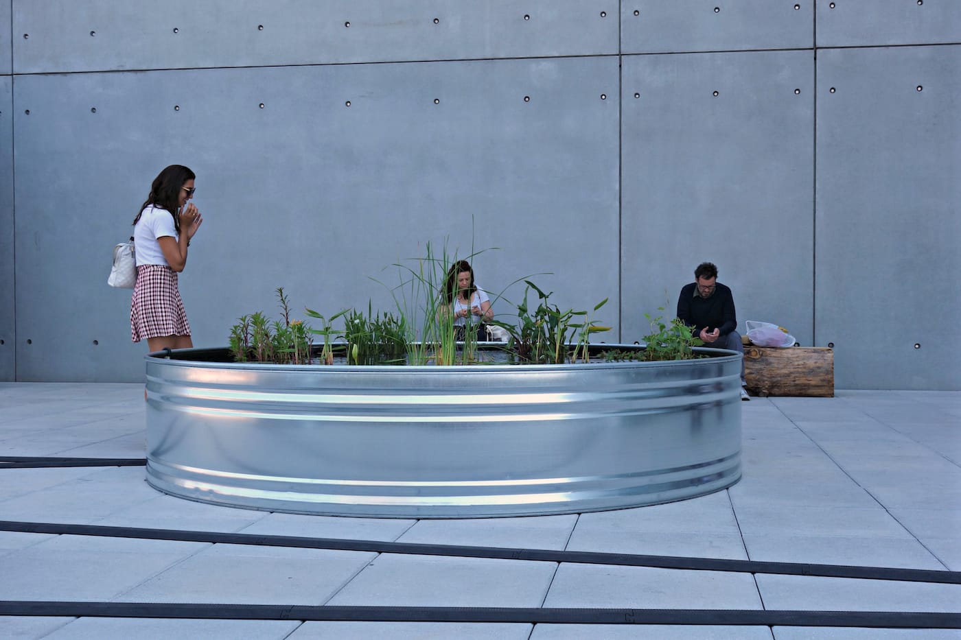 Installation view of 'Virginia Overton: Sculpture Gardens' at the Whitney Museum of American Art