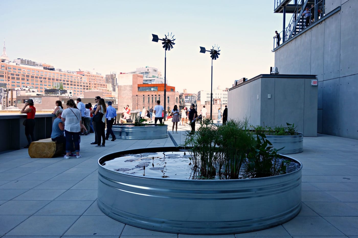 Installation view of 'Virginia Overton: Sculpture Gardens' at the Whitney Museum of American Art