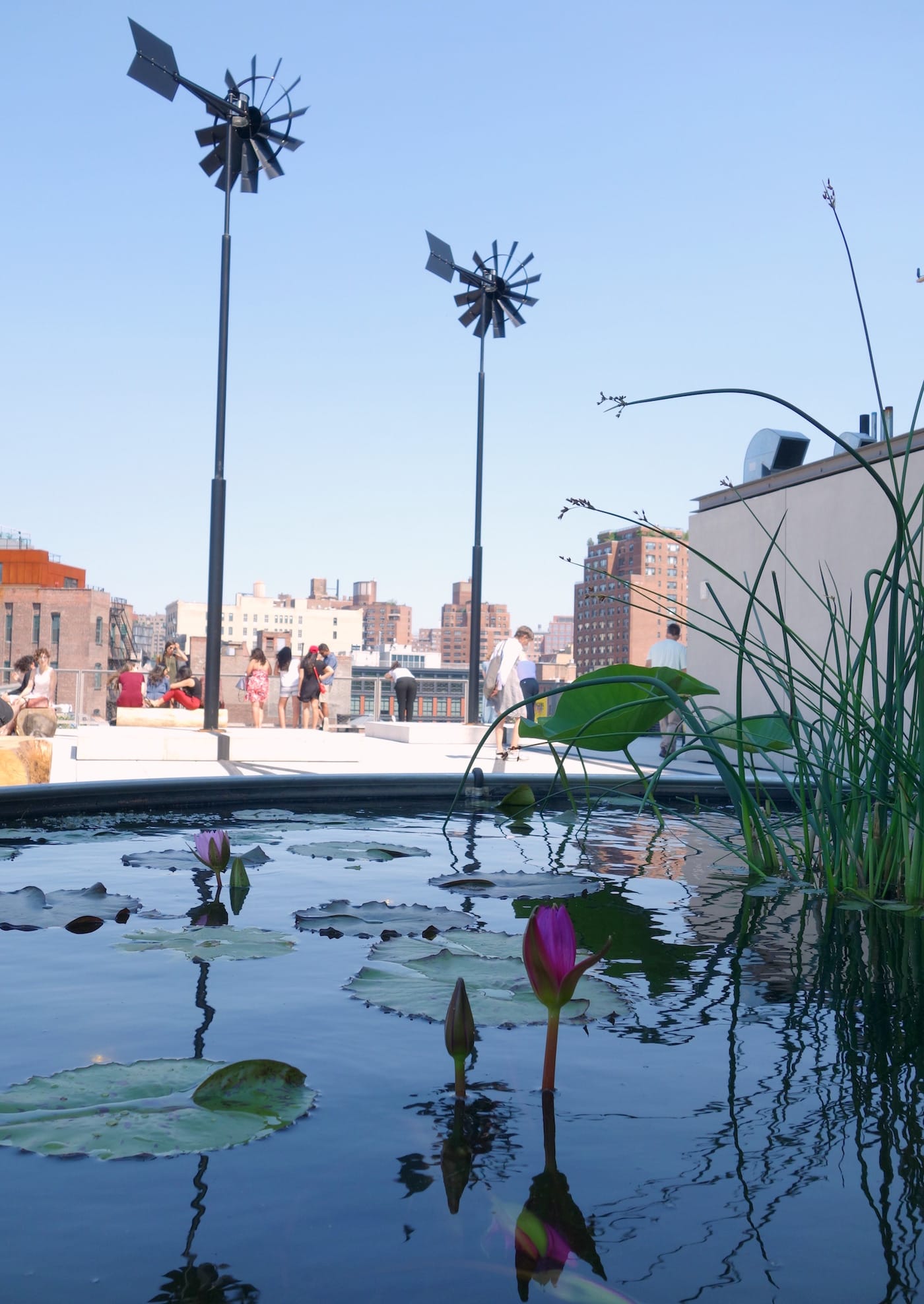 Installation view of 'Virginia Overton: Sculpture Gardens' at the Whitney Museum of American Art