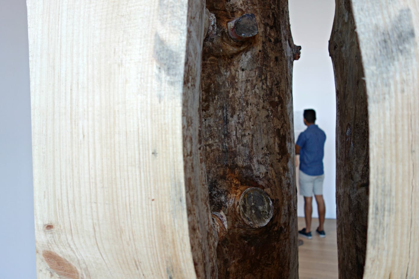 Installation view of 'Virginia Overton: Sculpture Gardens' at the Whitney Museum of American Art