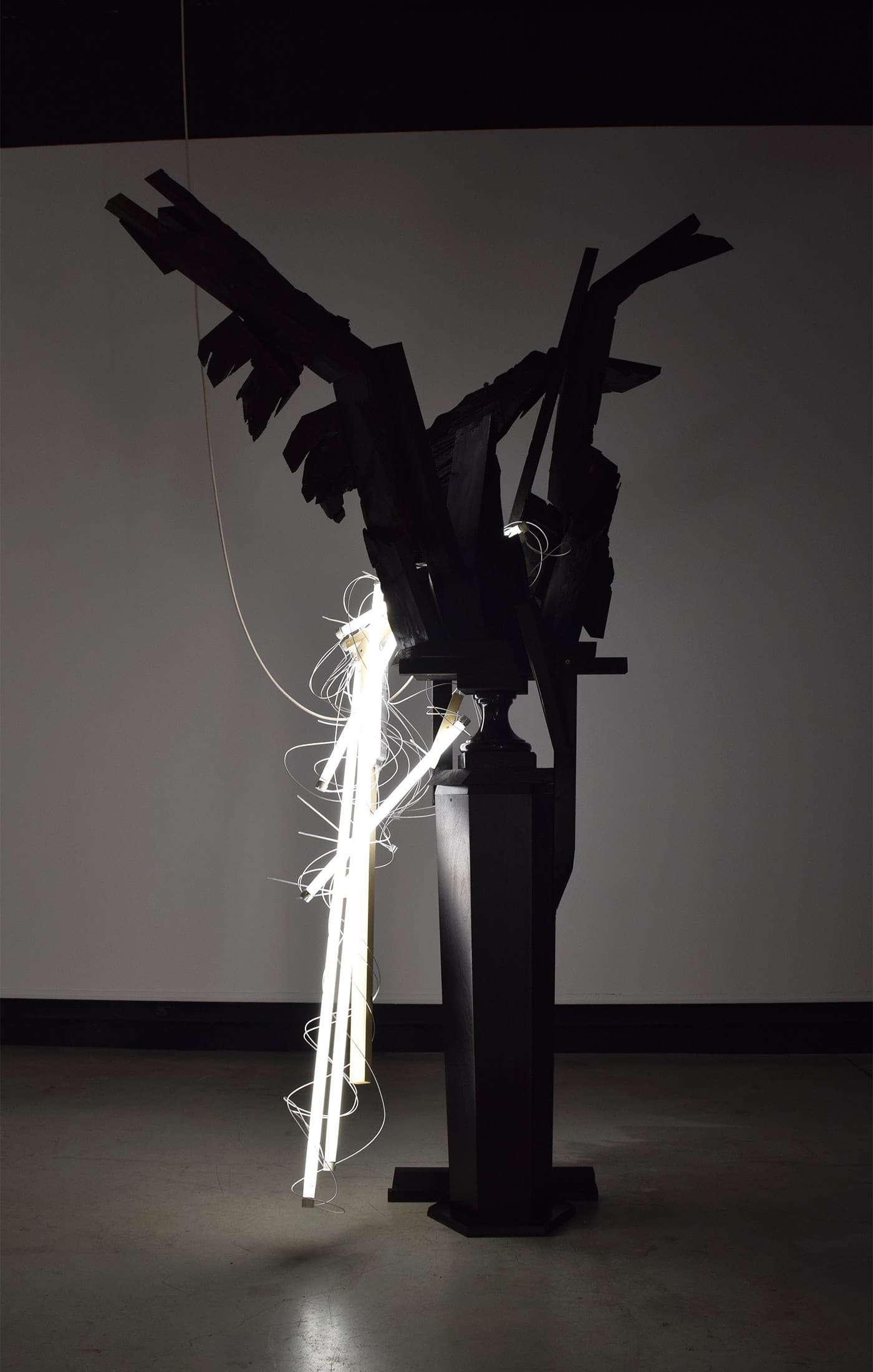 Wim Botha, 'Still Life with Water' installation view at the Fondation Blachère