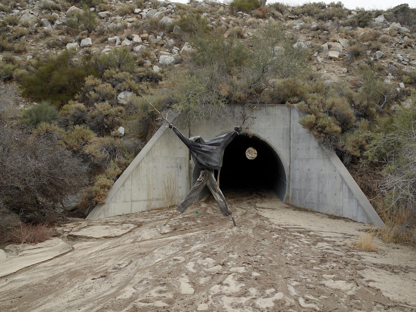 23340355540_18247562d5_k