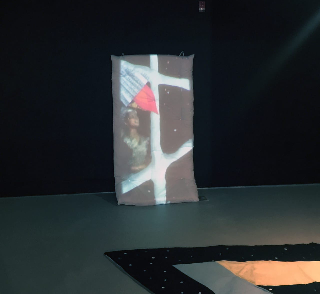 Installation view of B.A.M. aka By Any Means Inc. by Ariel Jackson, part of Strange Landscapes at Arlington Arts Center, 2016