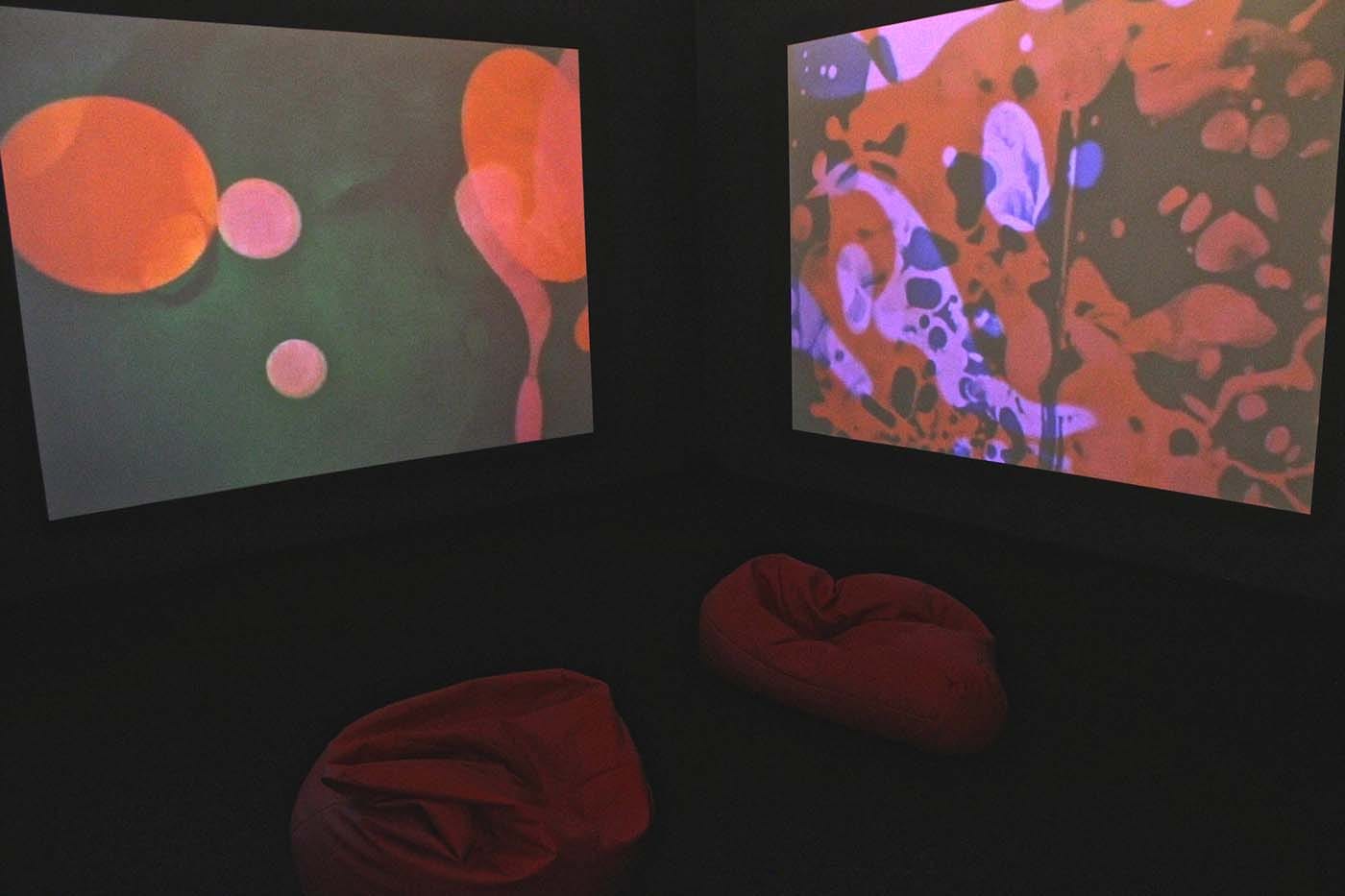 Boyle Family, Beyond Image and Son of Beyond Image (installation view) (1969)