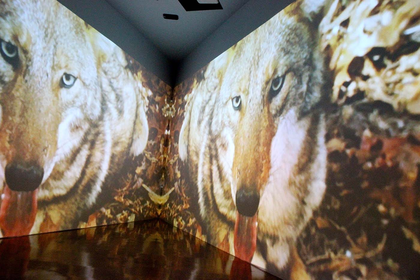 Fear in The Mood Room.