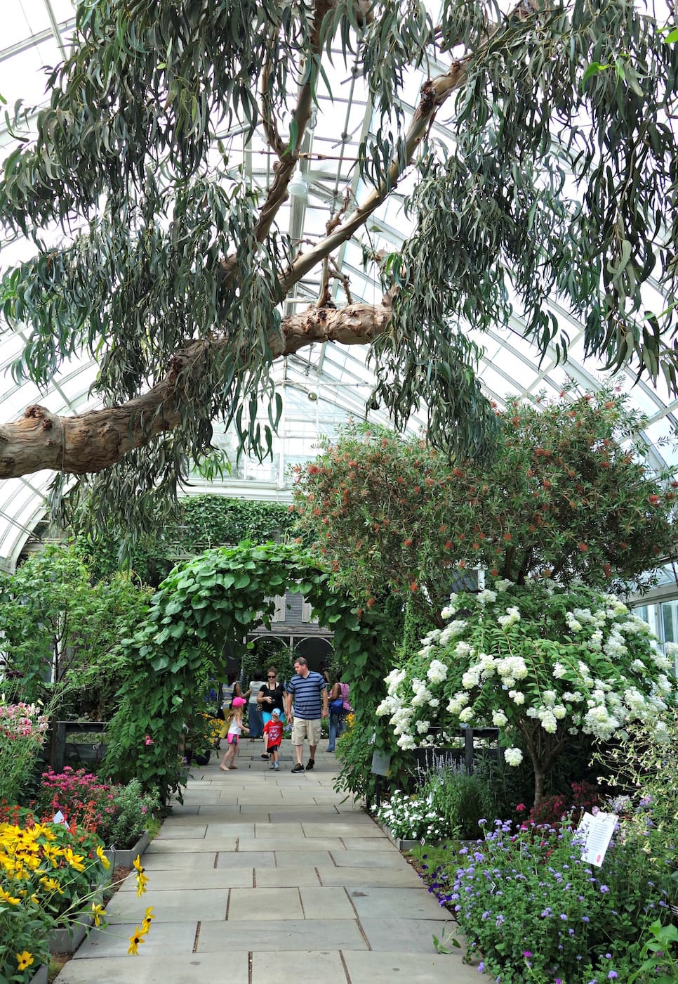 Installation view of 'Impressionism: American Artists on Canvas' at the New York Botanical Garden