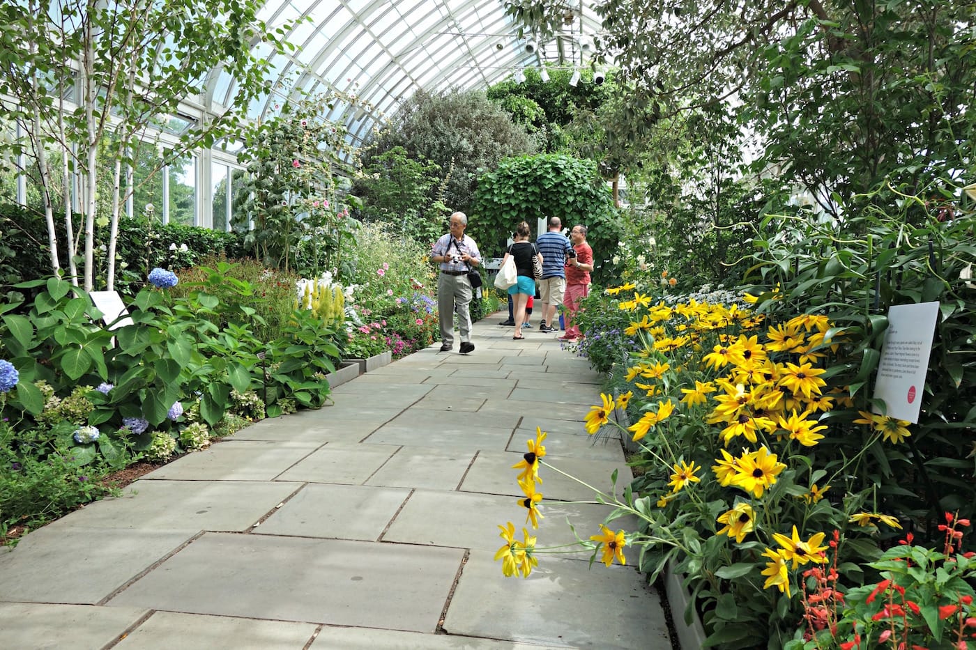 Installation view of 'Impressionism: American Artists on Canvas' at the New York Botanical Garden