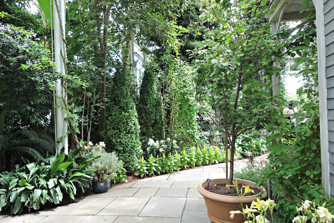 Installation view of 'Impressionism: American Artists on Canvas' at the New York Botanical Garden