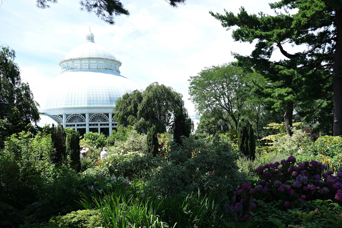 Installation view of 'Impressionism: American Artists on Canvas' at the New York Botanical Garden