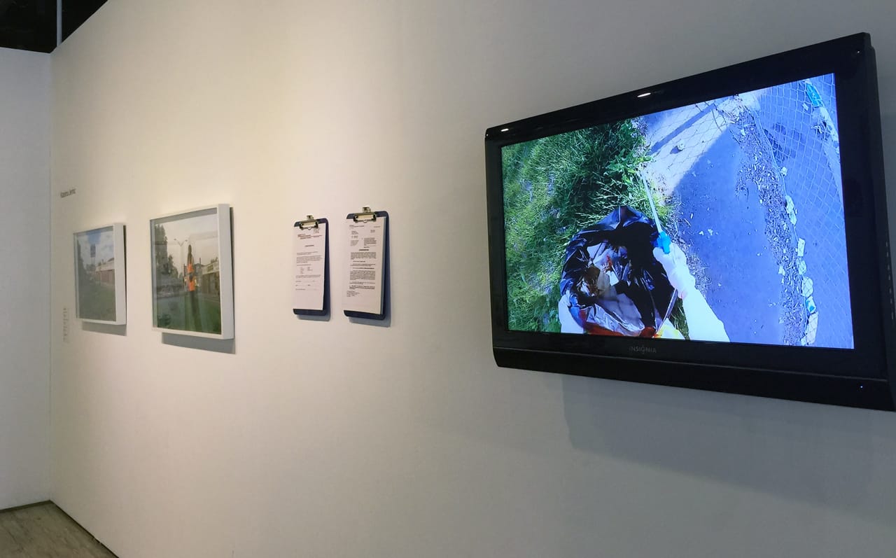 Installation view of Beautification This Site by Katarina Jerinic, part of Strange Landscapes at Arlington Arts Center, 2016