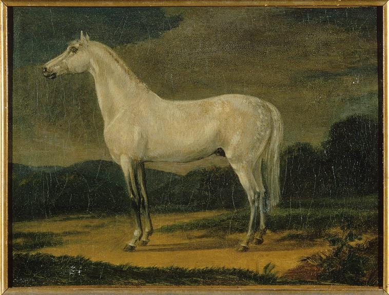 An 1806 painting of le Vizir by Pierre Martinet (via RMN-Grand Palais (musée des châteaux de Malmaison et de Bois-Préau))