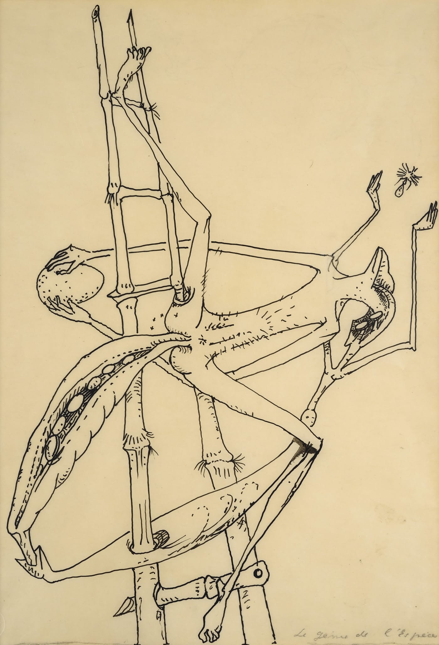 André Masson, “Le génie de l'espèce” ("The Genius of the Species," 1939)