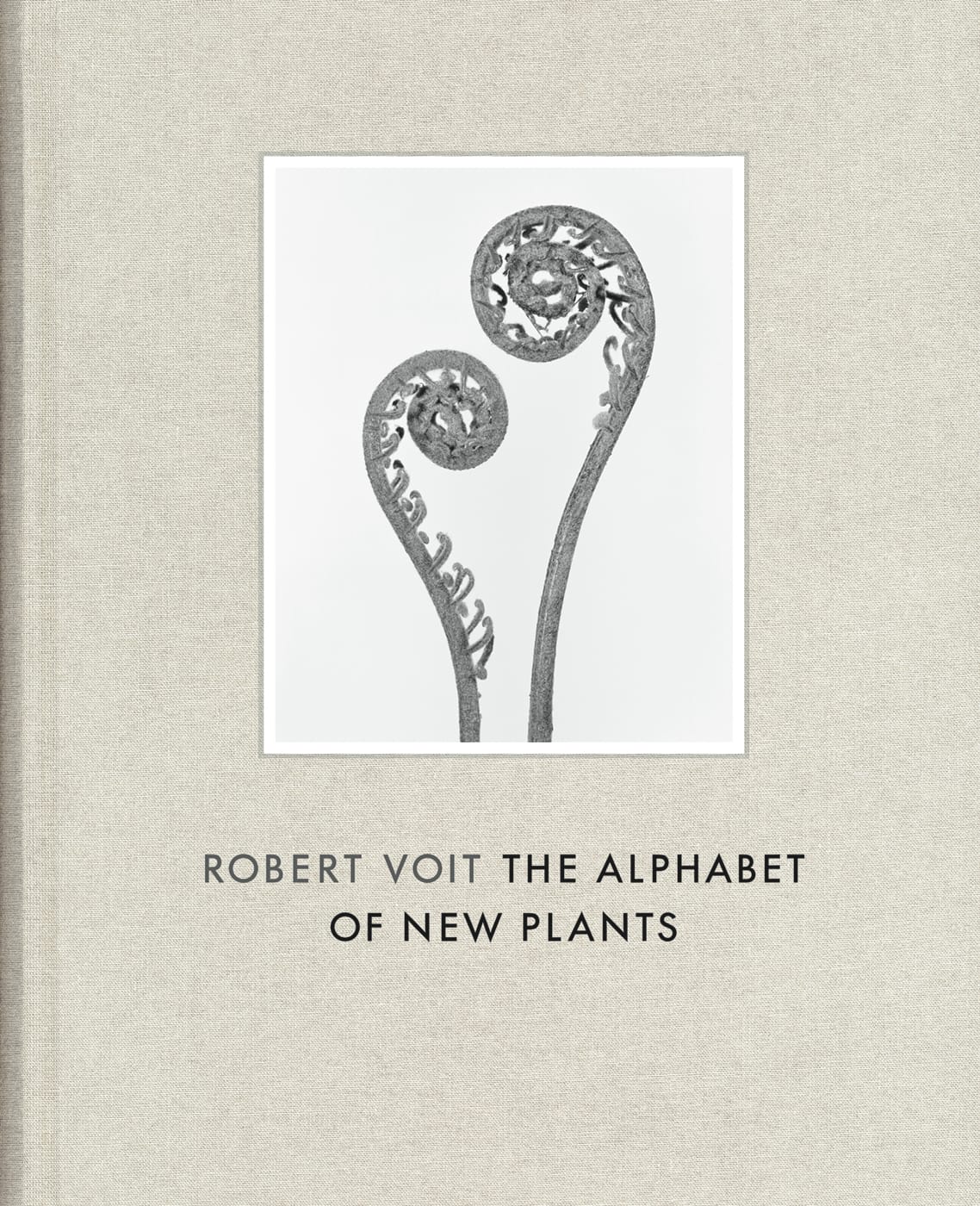 Cover of 'Robert Voit: The Alphabet of New Plants' (courtesy Hatje Cantz) (click to enlarge)