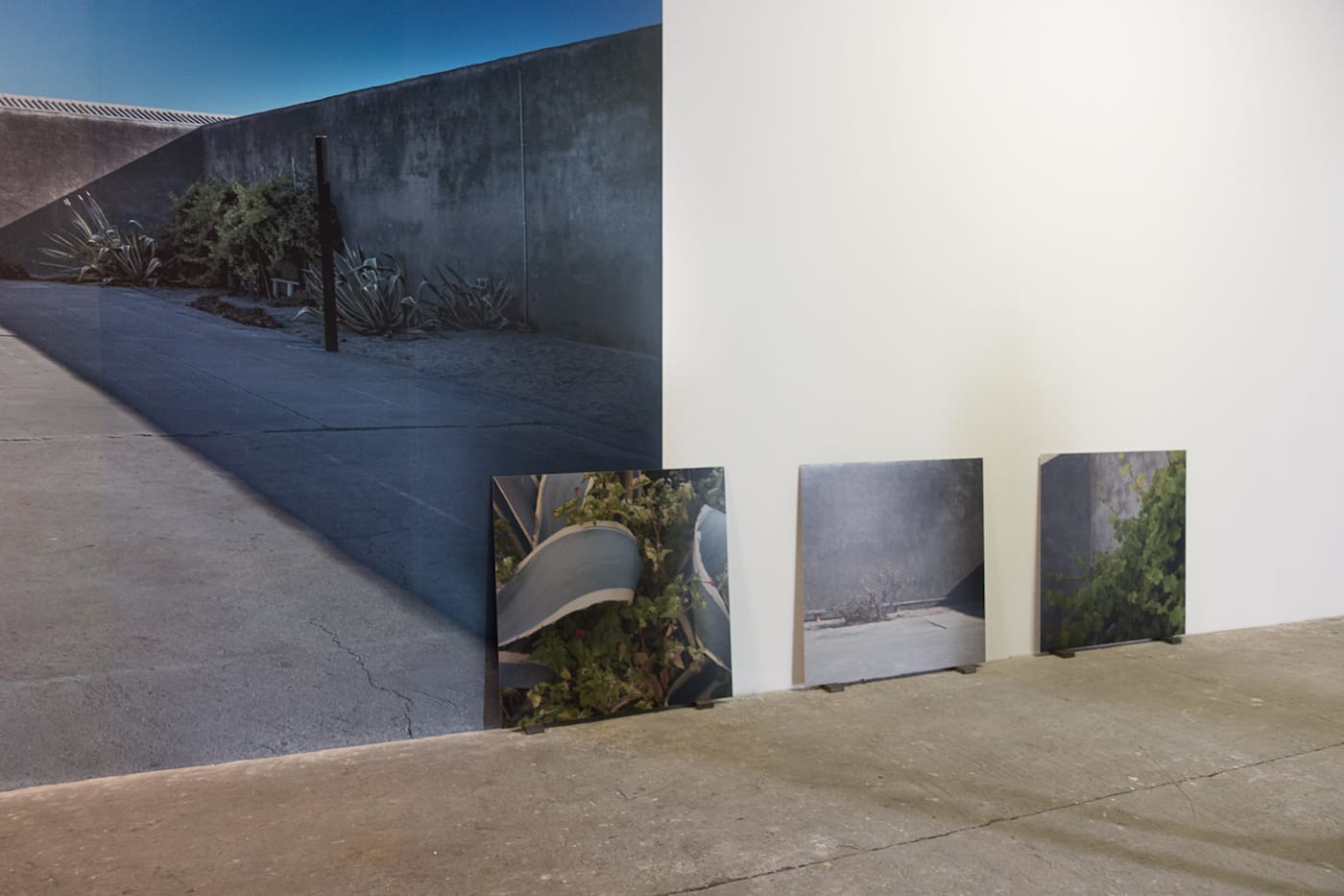 Uriel Orlow. Green, Grey, Gold. Cleeves Condensed Milk Factory. Image courtesy of the artist.