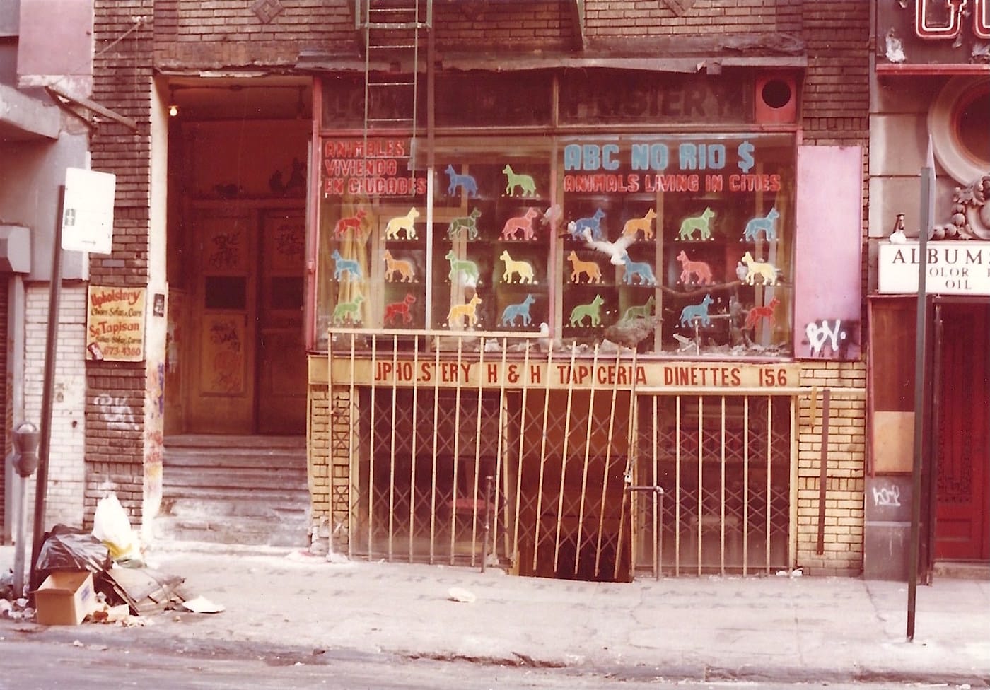 Anton van Dalen_Animals Living in Cities_ABC No Rio_1980