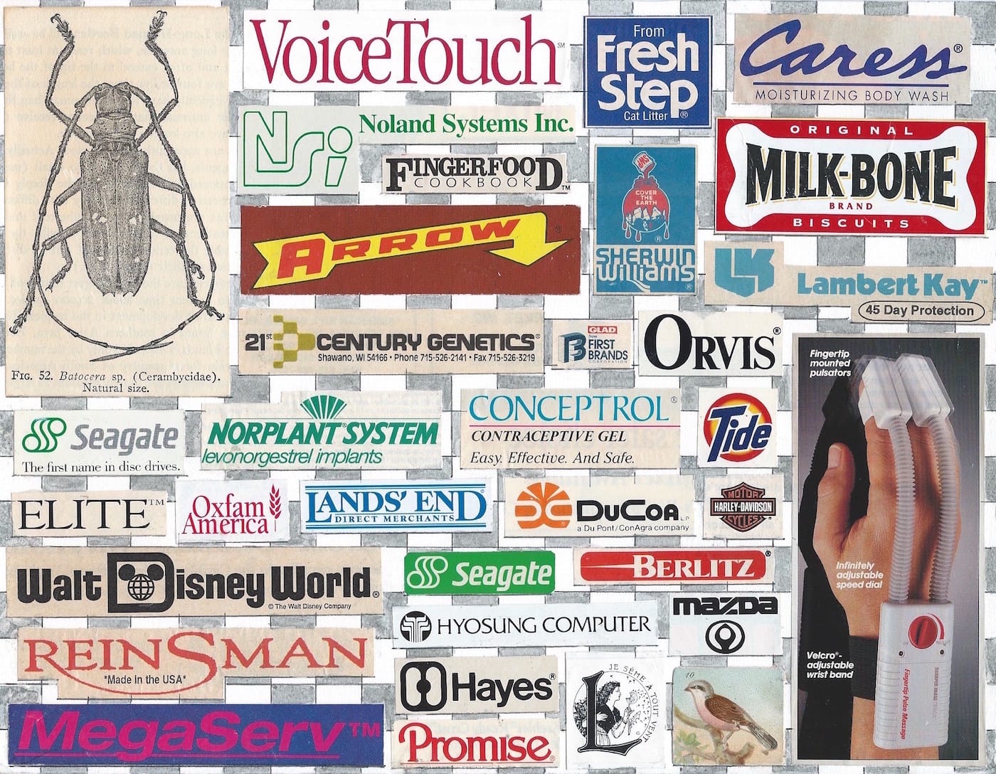 Anton van Dalen_Collage