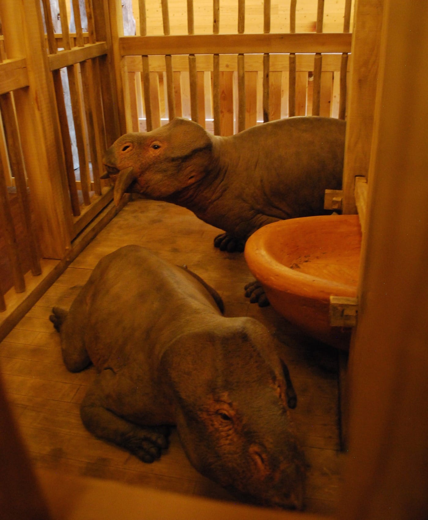 ark-encounter-DSC-1034