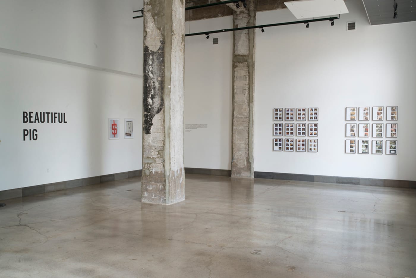 Beautiful Pig, installation view. Image courtesy of River House Arts.