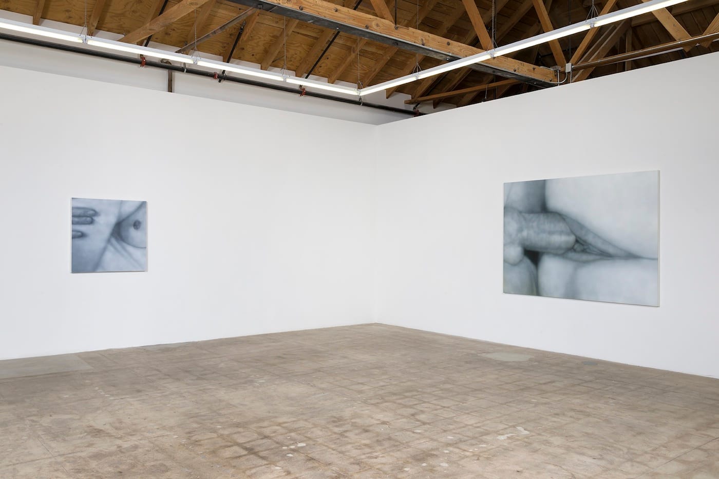 Installation view of "Betty Tompkins: Sex Works / WOMEN Words, Phrases, and Stories" (courtesy of the artist and GAVLAK Los Angeles. Photo Credit: Jeff McLane)