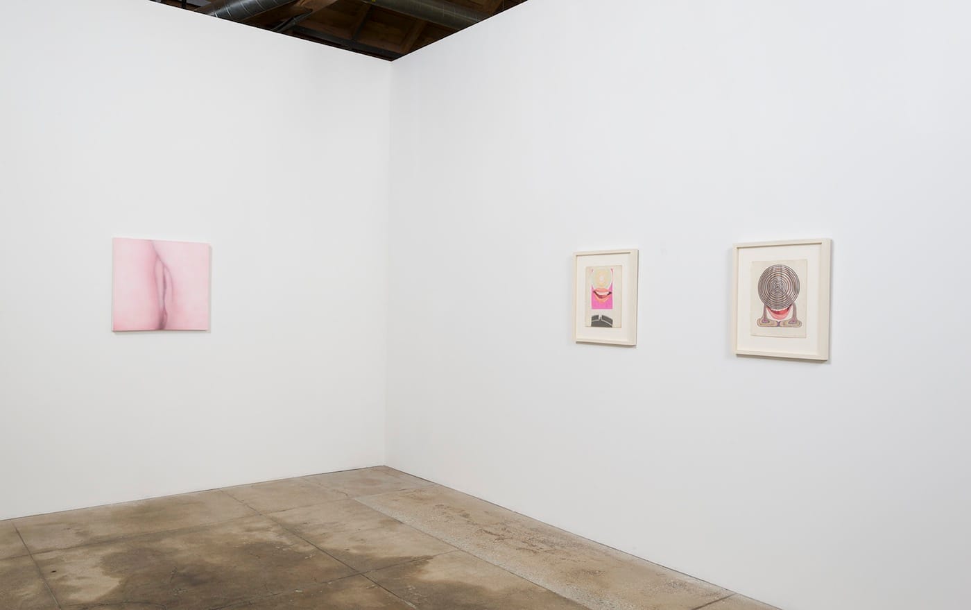 Installation view of "Betty Tompkins: Sex Works / WOMEN Words, Phrases, and Stories" (courtesy of the artist and GAVLAK Los Angeles. Photo Credit: Jeff McLane)