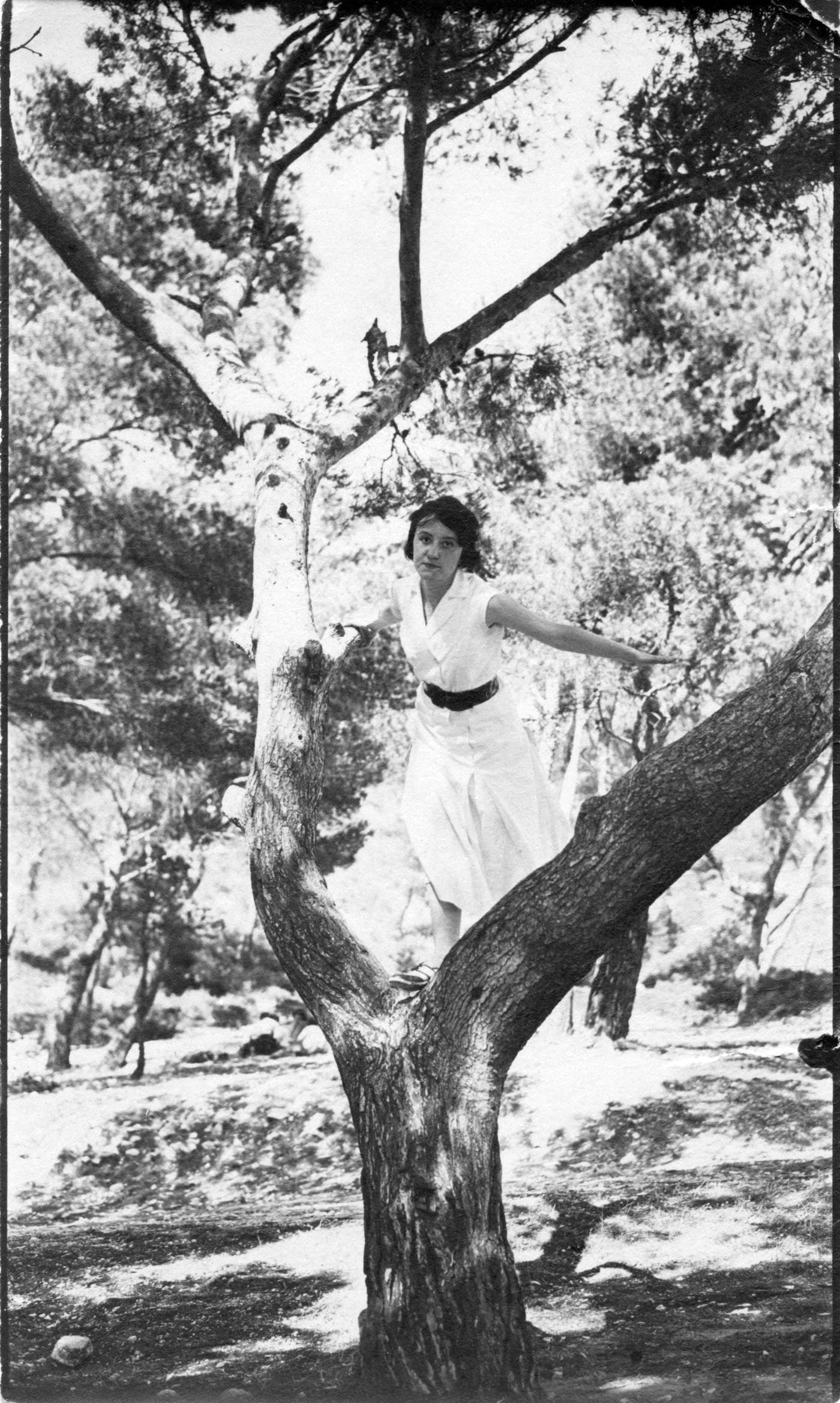 RUECKSEITE UNBESCHRIFTET