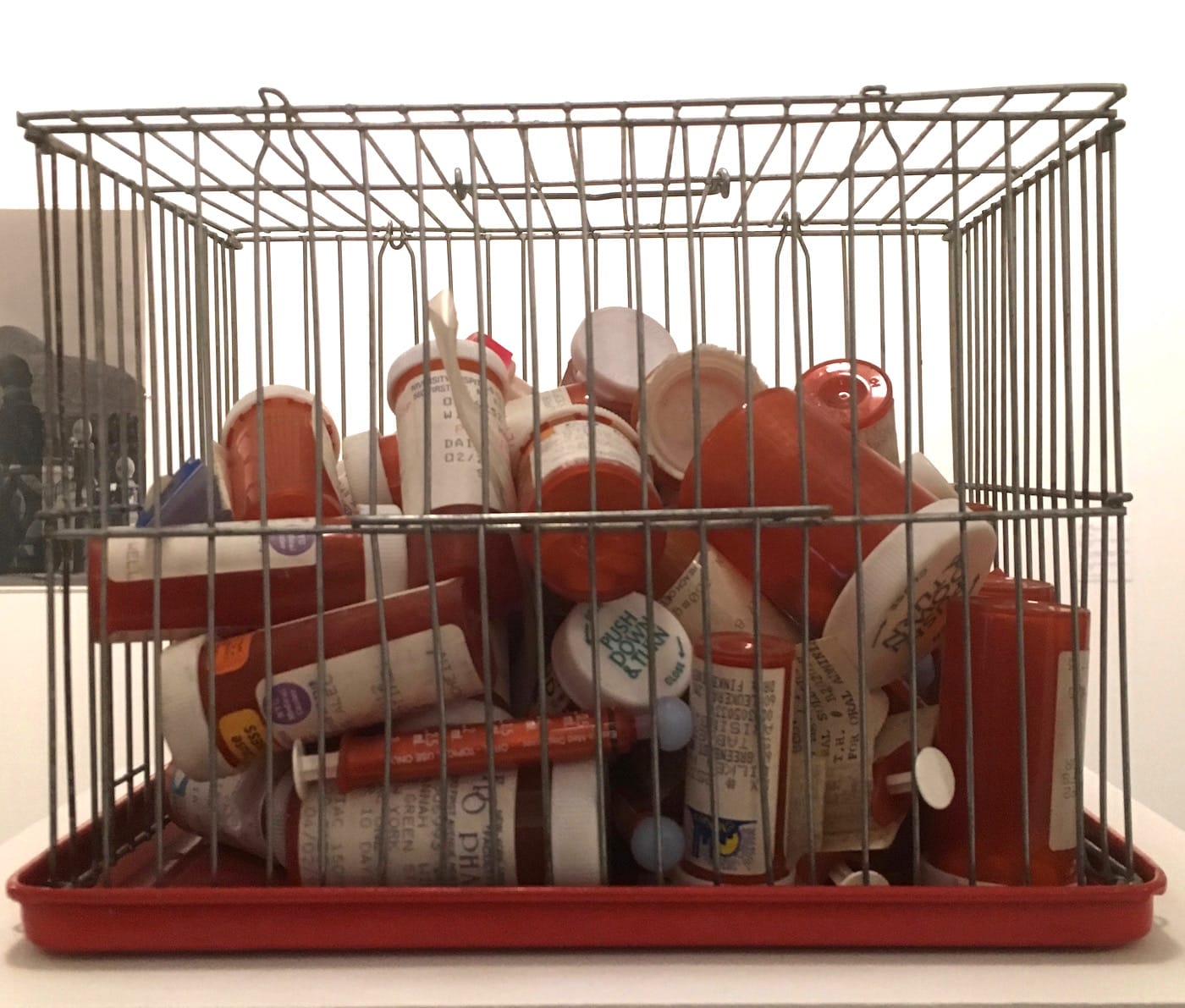 Hanna Wilke Why Not Sneeze