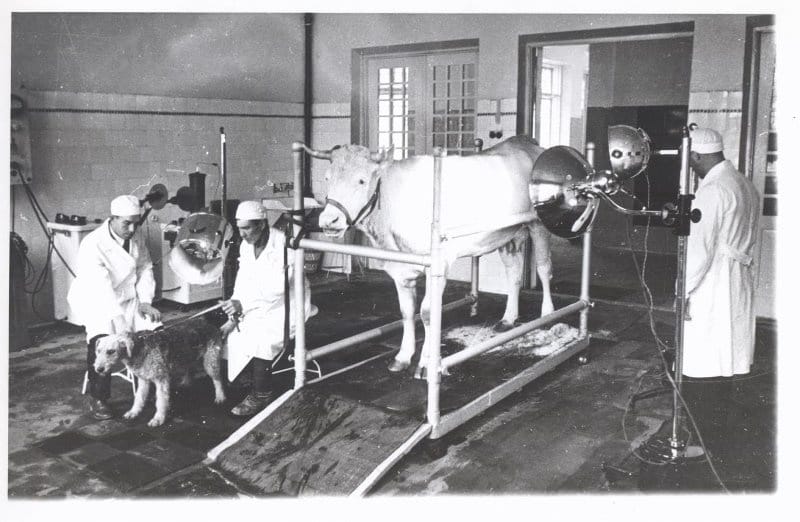 multimedia art mseum