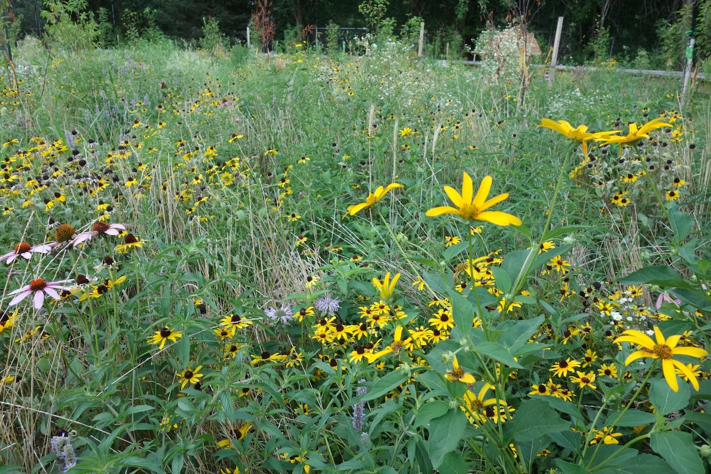 Naval Hospital Cemetery Park