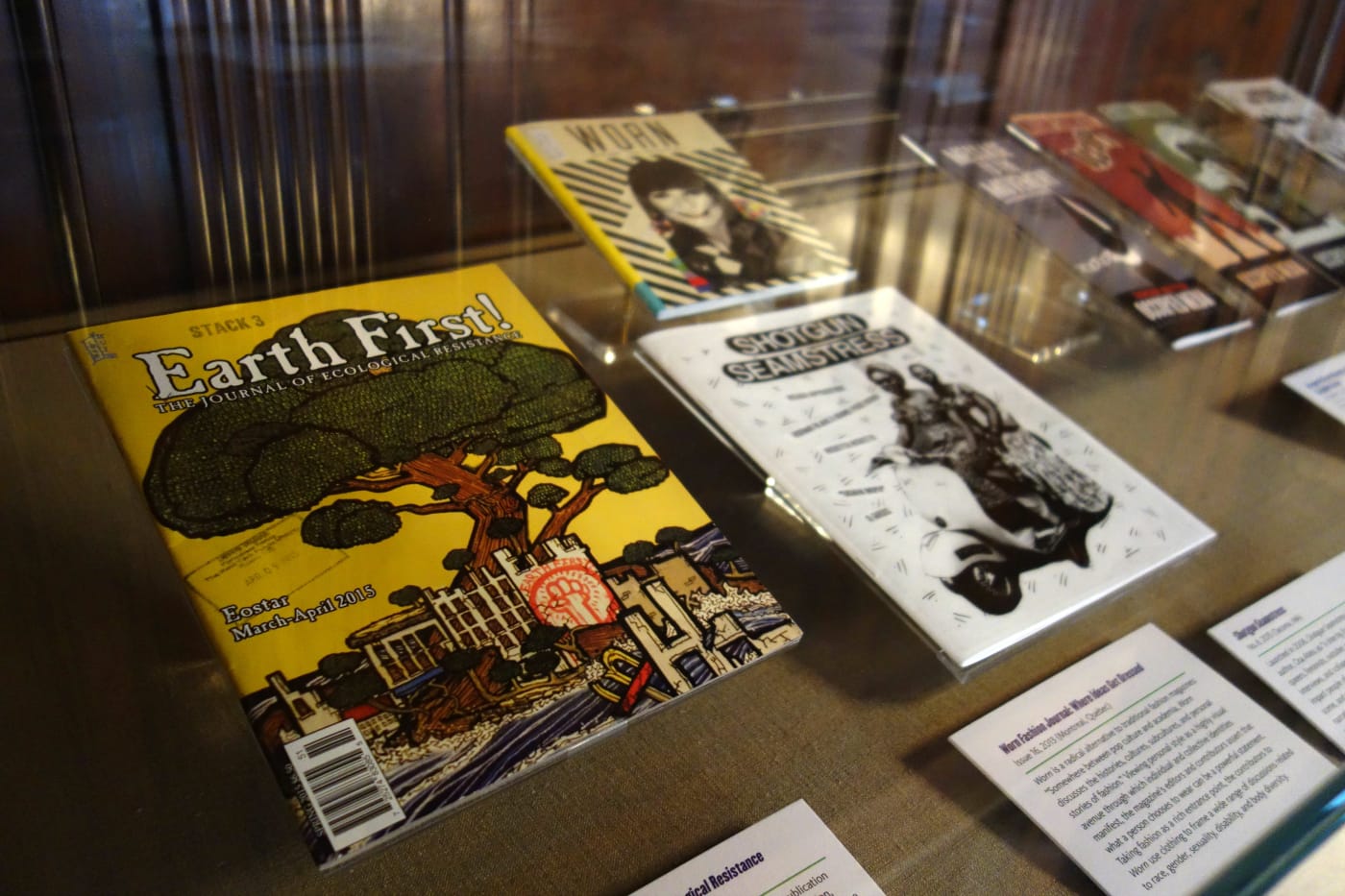Installation view of 'Protests in Print' at the New York Public Library (photo by the author for Hyperallergic)