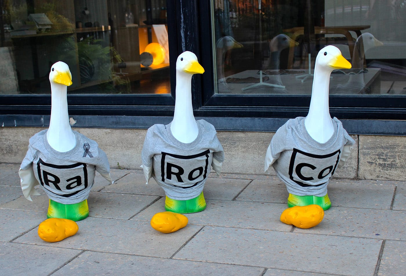 RaRoCo's yard party at Simone DeSousa - BYOB, potatoes supplied.