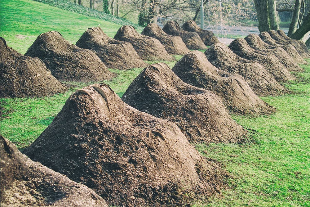 Studio-Nucleo_Grassessel_1000