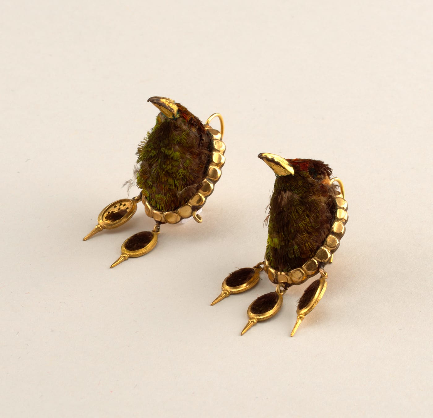 Late 19th century earrings with real hummingbird heads 