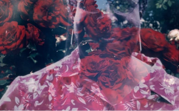 Connie Samaras, Detail from the series "The Past is Another Planet" (2016) (via armoryarts.org)