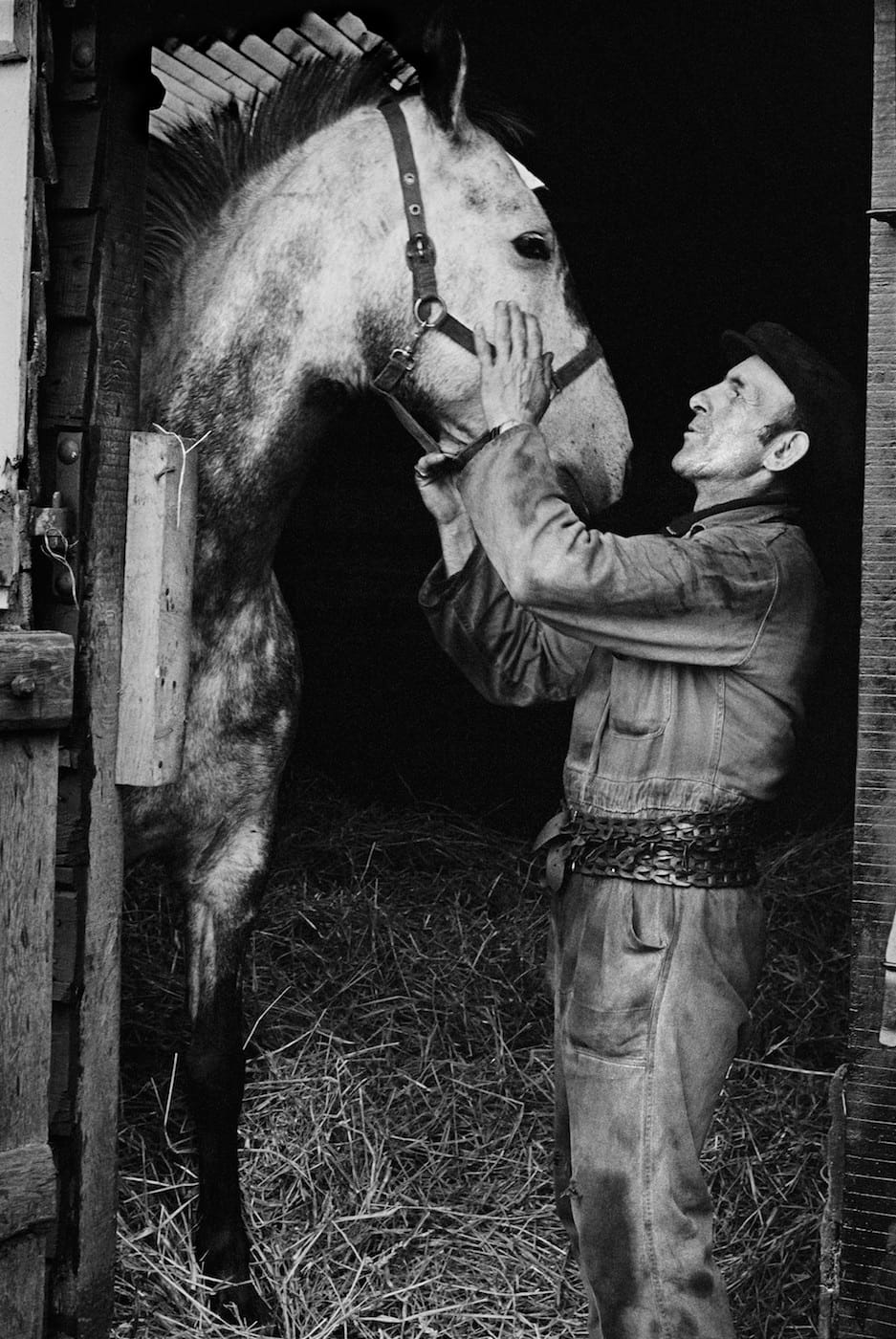 Hugo Minnen, Geel Wellcome Library, London. Wellcome Images