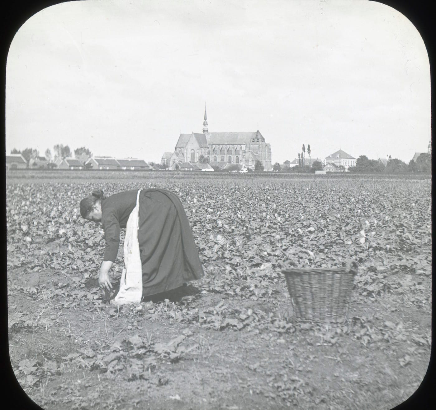 Hugo Minnen, Geel Wellcome Library, London. Wellcome Images
