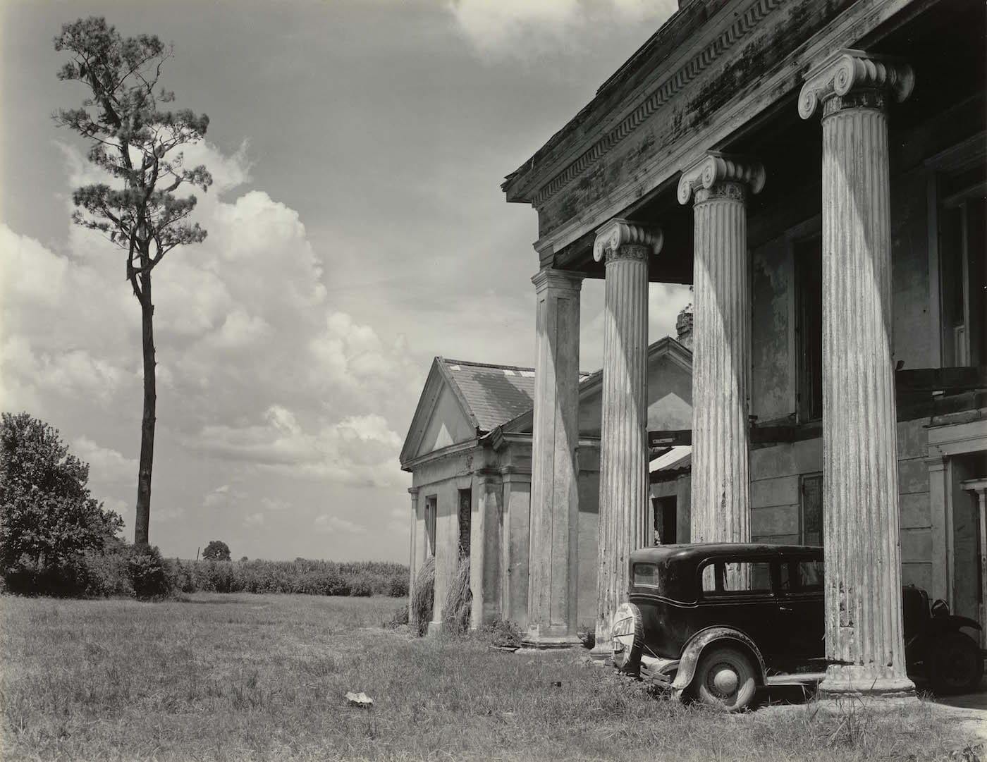 Real American Places: Edward Weston & Leaves of Grass
