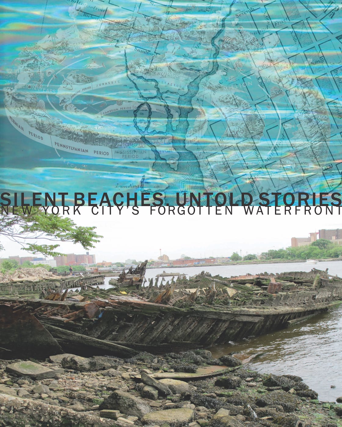 Cover of 'Silent Beaches, Untold Stories: New York City's Forgotten Waterfront' (courtesy Damiani)