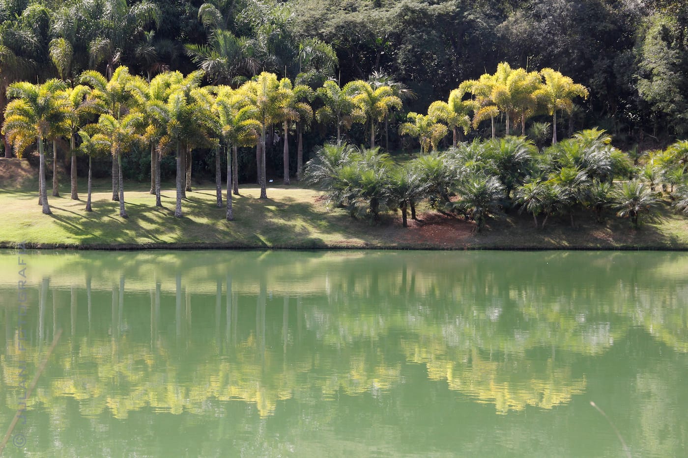 14335651457_61fa4708be_o