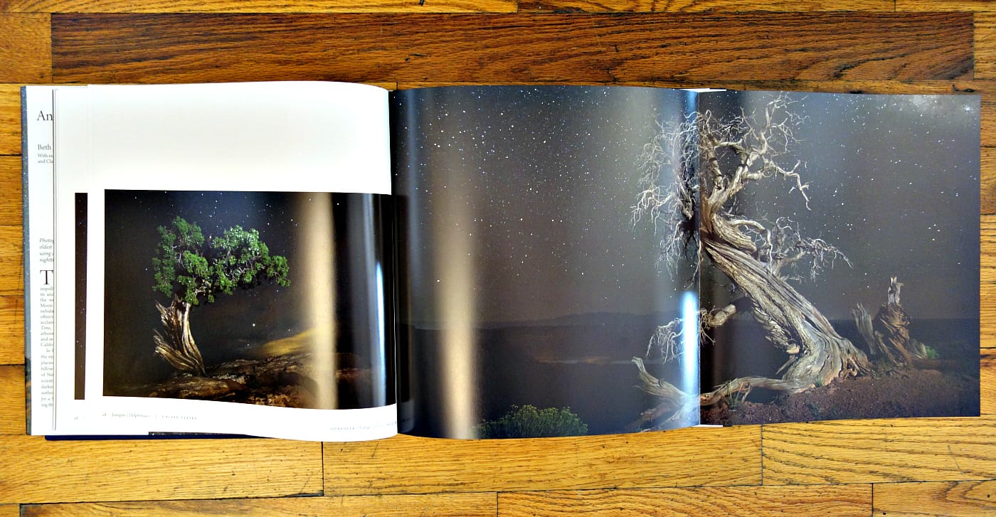 Pages from 'Ancient Skies, Ancient Trees' (photo of the book for Hyperallergic)