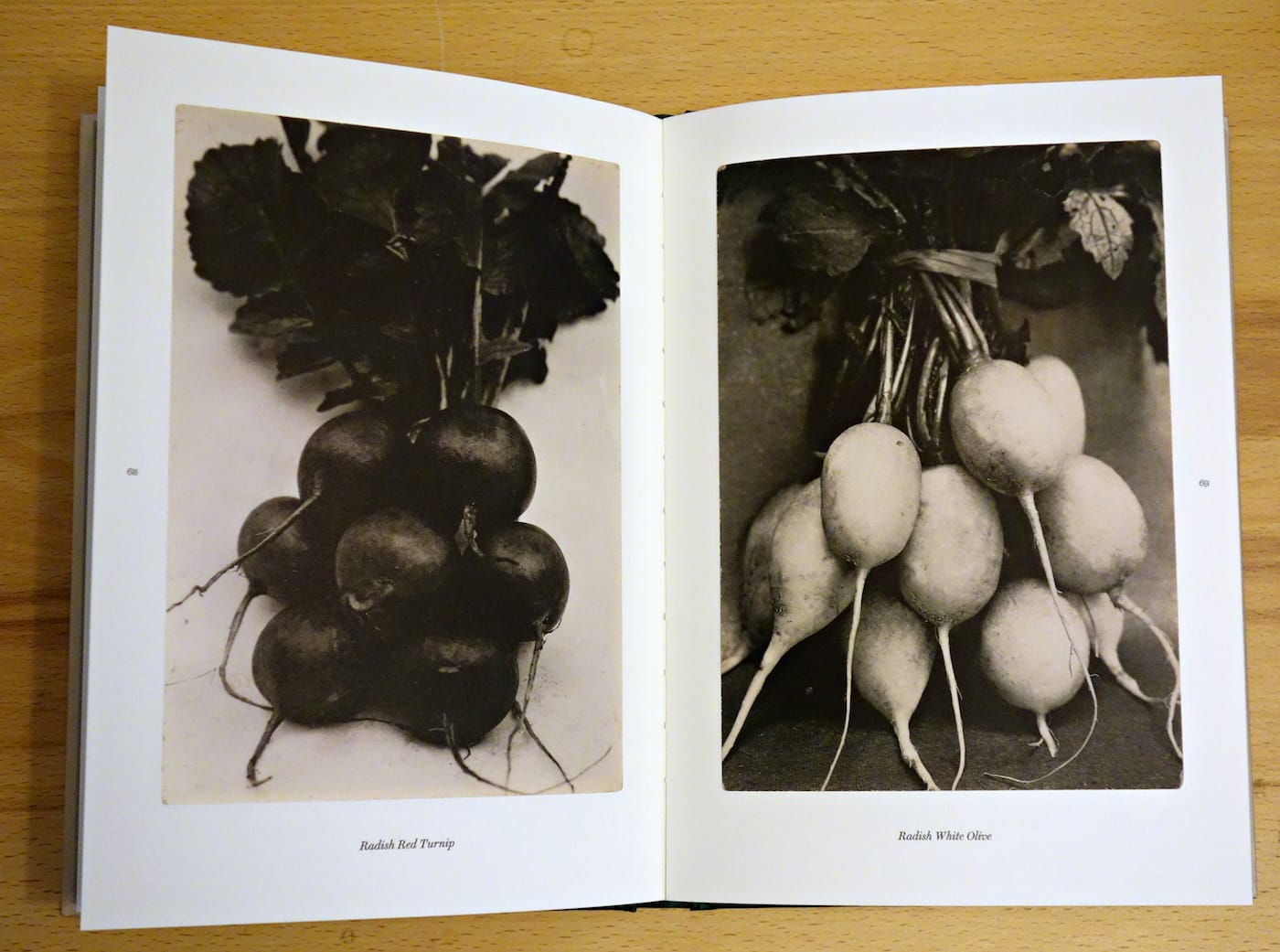 Pages from 'The Plant Kingdoms of Charles Jones' (photo of the book for Hyperallergic)