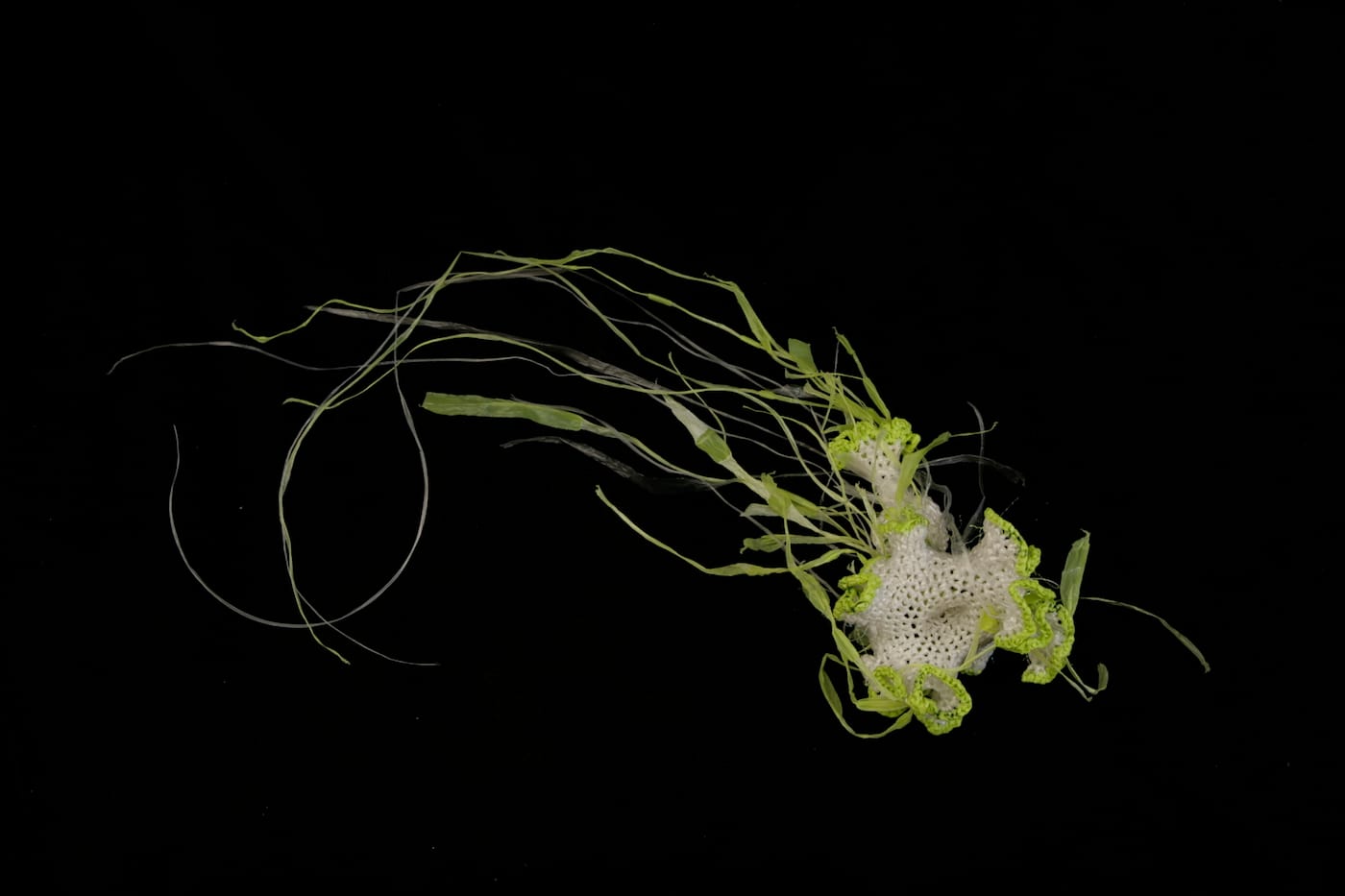 Work from the Institute For Figuring's "Crochet Coral Reef" project (2005-ongoing) (courtesy the Institute For Figuring)