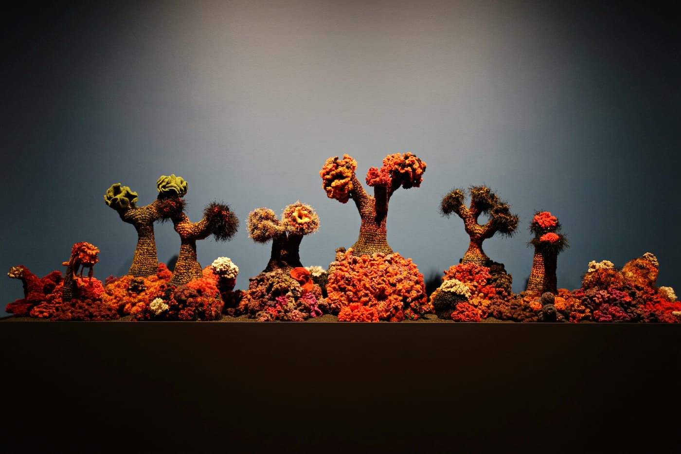 Crochet Coral Reef