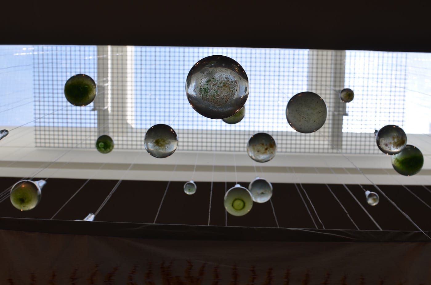 detail-_amor-fati_-2016-claire-pentecost